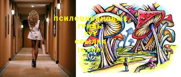 метадон Белокуриха