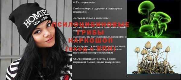 PSILOCYBIN Беломорск