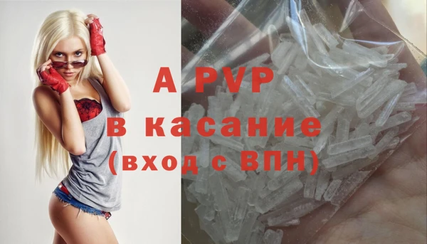 шишки Саяногорск